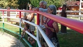 2016_08_28_11_27_38.jpg